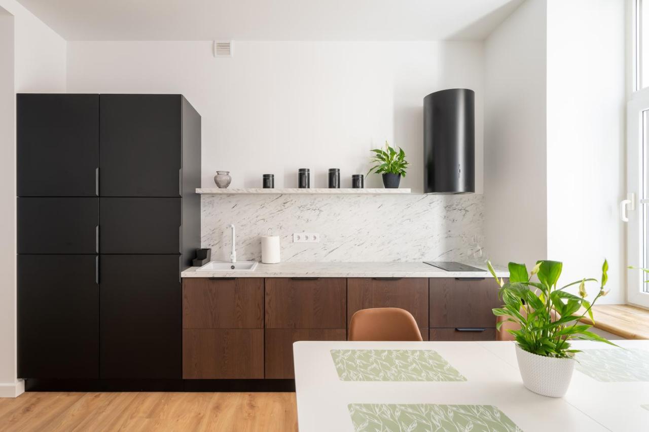 Spacious 1-Bedroom Apartment In The Heart Of Old Town Riga Kültér fotó
